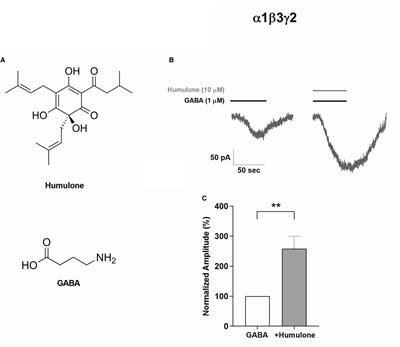 Humulone Modulation of GABAA Receptors and Its Role in Hops Sleep-Promoting Activity